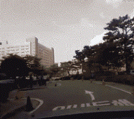 acting.gif