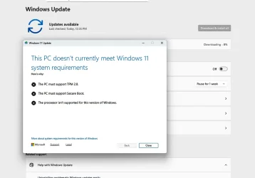 Window2.webp