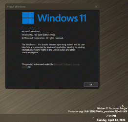 12906.gif 12906.gif