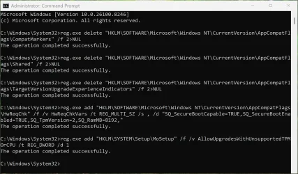 3.webp
