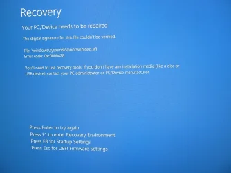 recovery blue screen.webp