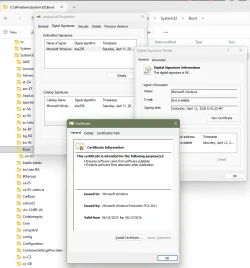 winload.efi Cert PCCA 2011.webp