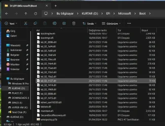 winsipolicy.webp