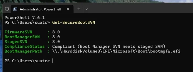 SVN1.webp