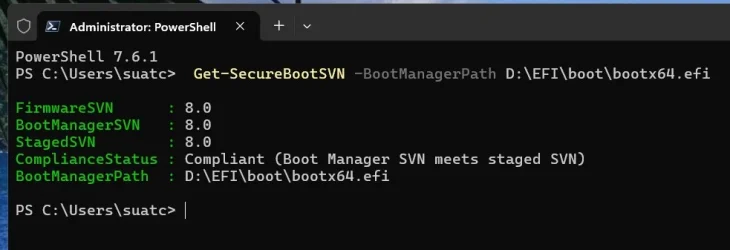 SVN2.webp
