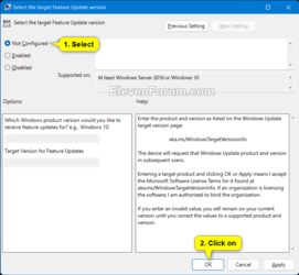 Select_the_target_Feature_Update_version_gpedit-2.png