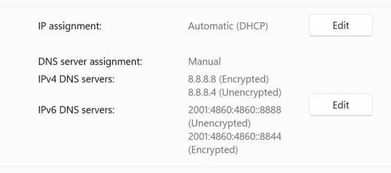 DNS 2.jpg
