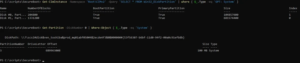 Command outputs for garlin.webp