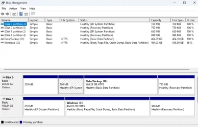 Disk Management for garlin.webp