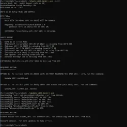 Check and Update scripts in Setup Mode.webp