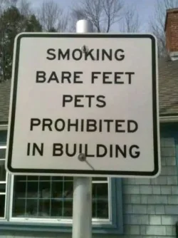 fbc539beb97cabafc1d6083685b031ae.webp