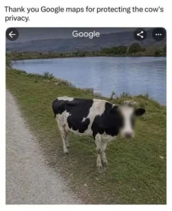 hkSDolr.webp