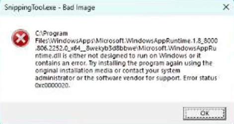 snipping tool error.webp