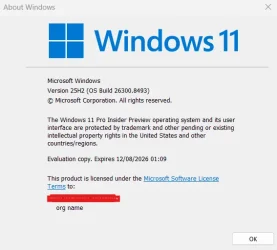Windows 11 Insider Experimental (Future Platforms) build