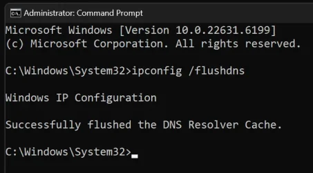 flushdns.webp