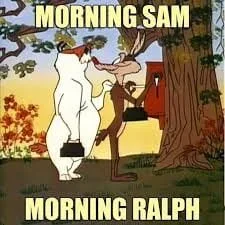 Morning.webp