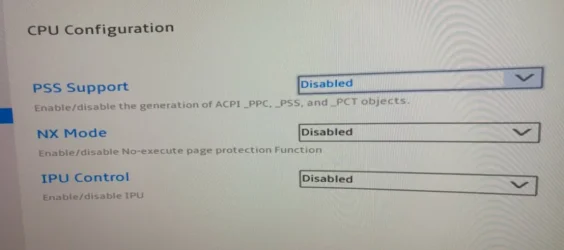 Bios CPU.webp