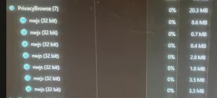 13244.webp