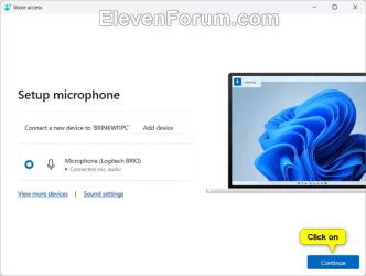 Set_up_Voice_Access-3.webp