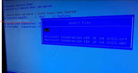 1779670693758.webp