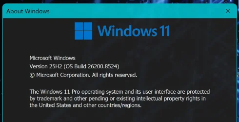 Build 9524.webp