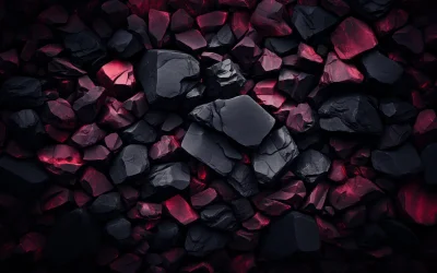 wp71.webp