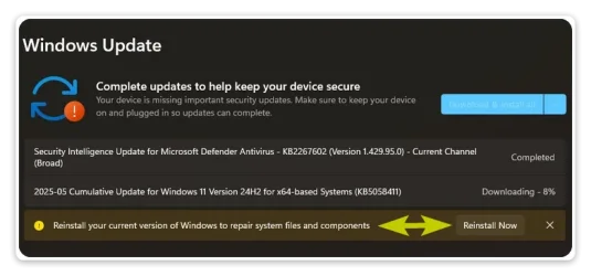 Win-2029.webp Win-2029.webp
