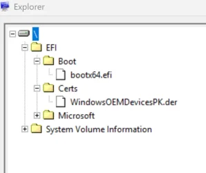 EFI ESP Partition1.webp