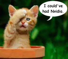 Nvidia coulda.webp