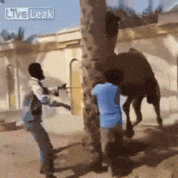 didnt-expected-that.gif