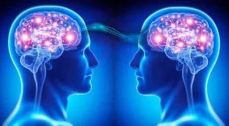 image2.webp image2.webp