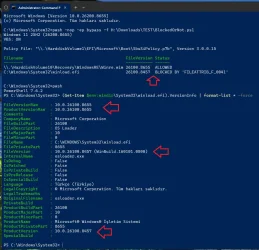 winload.webp winload.webp