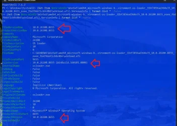 winsxs.webp winsxs.webp
