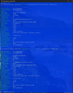 both.webp