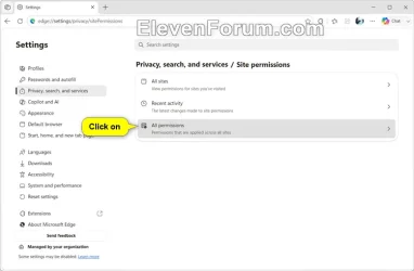 Edge_local_network_access-2.webp