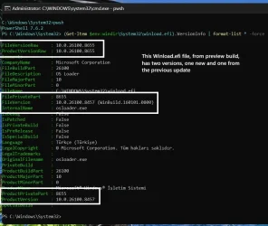 winload-1.webp