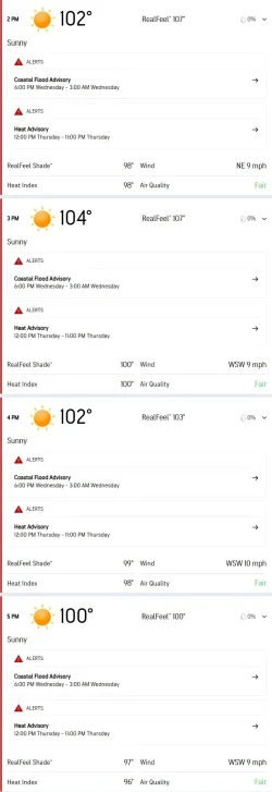 screencapture-accuweather-en-us-windsor-95492-hourly-weather-forecast-2178886-2026-06-11-01_4...webp
