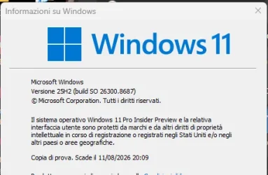 1781337497929.webp