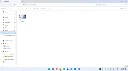 Screenshot (1442).webp Screenshot (1442).webp