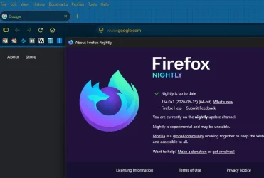 fox.webp fox.webp