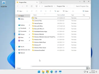 win 11 IOT Office file.webp