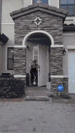 45.gif 45.gif