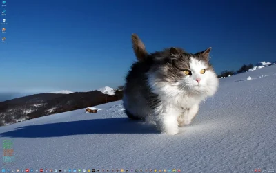 Image1.webp Image1.webp