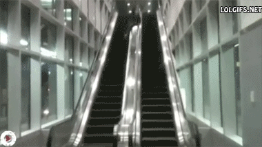 34.gif 34.gif