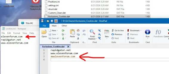 SirCleanerBug1a.webp