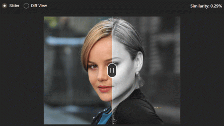 13039.gif 13039.gif