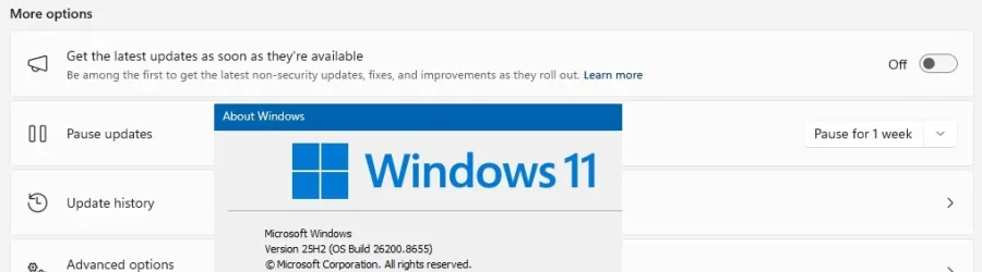 wintogglewup.webp