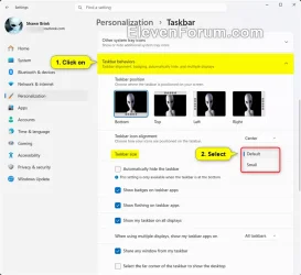 taskbar_size_Settings-2.webp