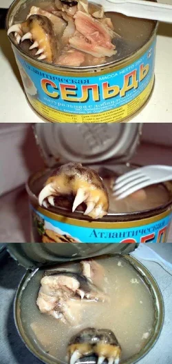 food.webp