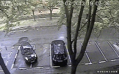 cerca (1).gif